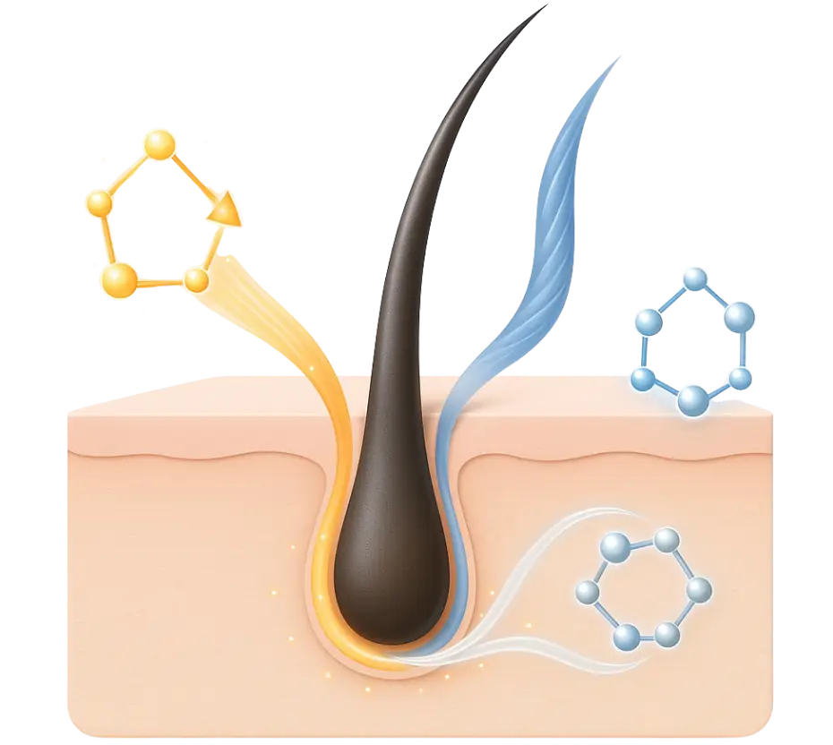 saç vitamini içeriği